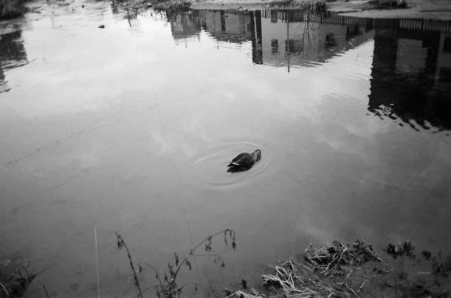 0feaf371c4841ef423e8f4e6469c706c2cad00bda99423928de2ce6b2c7c610a5d95efabe7f65fb897edf56310d2300ededd604d16