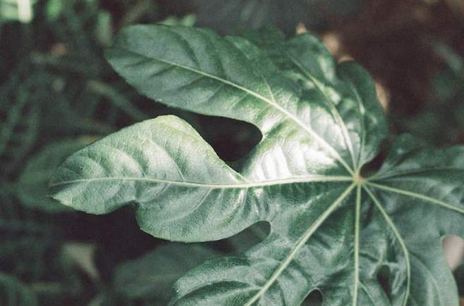 75eb8803b5f41bf423ef85e1479c706f75d221dca72c9b0e827a94c985e4d46d31f17dc3a5b919eb44362fba2ee4ddd595ba75411a