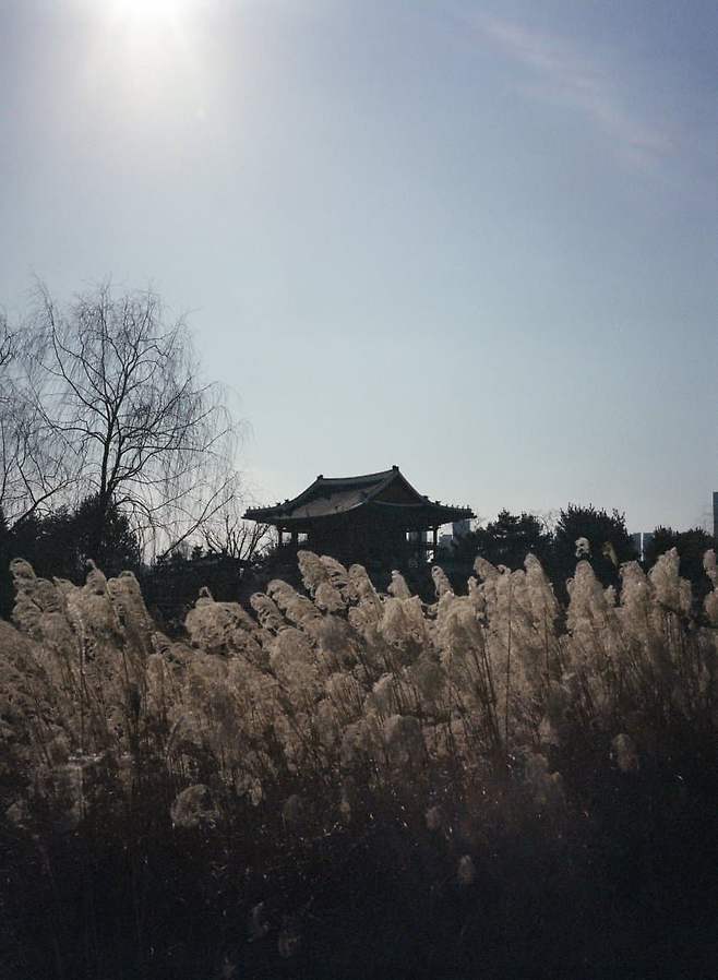 74ebf174c08261f7239e81e0309c706d1aca1cfc31a47ffee52fc3c7e668ed502c5529c5f6d10c68bd88e686721b88b139ddd1f459