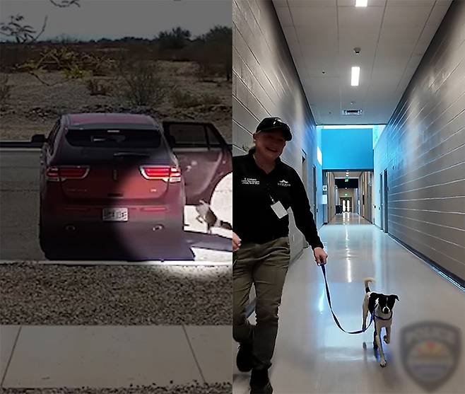 출처=페이스북(Tricia Skubic-Swesey), 인스타그램(surprise_pd)