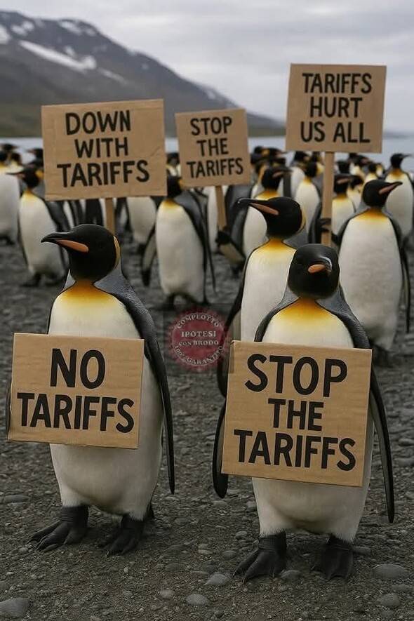 남극 근처 무인도에 관세를 부과한 미국 도널드 트럼프 대통령의 행동에 대한 풍자가 사회관계망서비스 등에 확산되며 ‘밈(meme)’으로 자리잡았다. 사회관계망서비스 갈무리