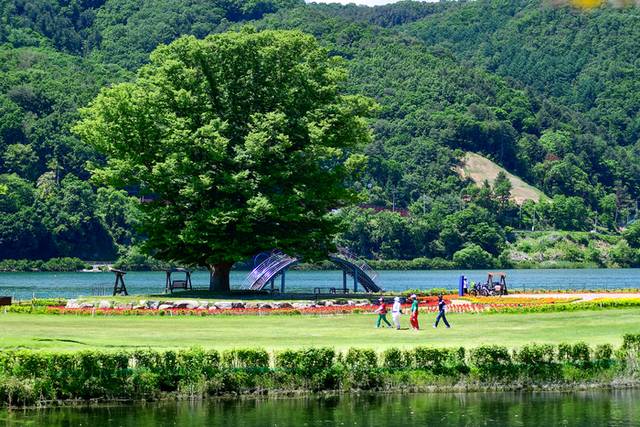 ▲ 사진은 지난해 화천 산천어파크골프장에서 열렸던 2024 전국 부부(가족) 파크골프대회의 경기 모습.