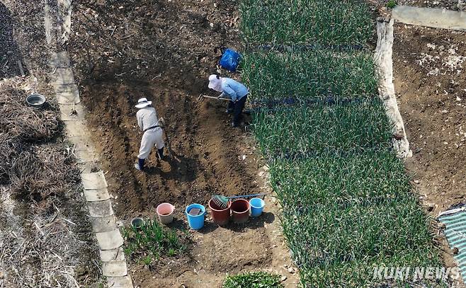 송파구는 친환경 경작법과 농사에 경험이 없는 주민들을 위해 농사짓는 법과 친환경 경작법, 계절별 작물 재배법, 유기농 비료 제작법 등을 알려주는 ‘초보 도시 농부 교육’도 연 12회 운영한다.