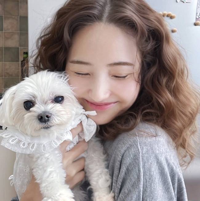 한채영 소셜미디어