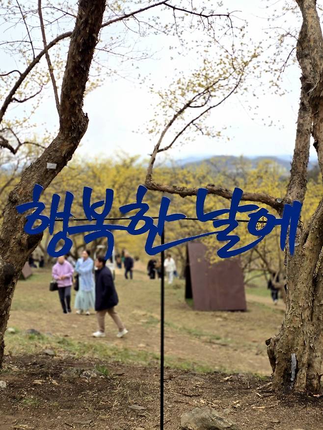 산수유 군락지 포토존.