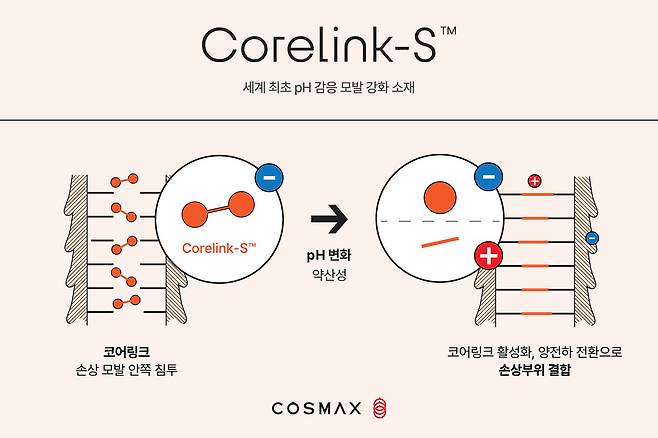 (코스맥스 제공)_