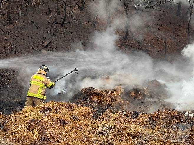 산불현장(인천 계양소방서 김동석 소방위 제공.재판매 및 DB금지)