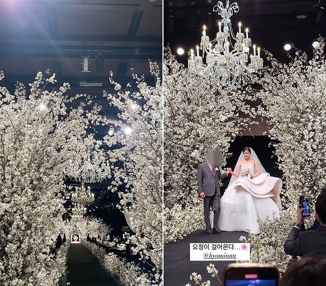 티아라 효민. 사진 | 큐리, 반윤희 SNS