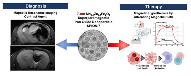 7nm 망간-아연-산화철 자성 나노물질의 조영제로써 뇌암 진단 효과(왼쪽) 및 고온발열을 통한 치료효과(오른쪽).