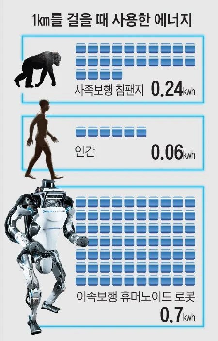 90fcce039427e5f1a78e014d8965bd41.webp.ren.jpg 걷기로 살빼기 힘든 이유.