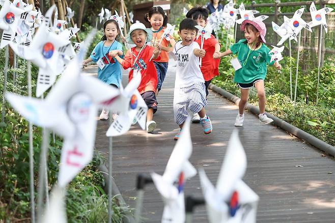 광복절을 하루 앞둔 지난해 8월 14일 오전 서울 중구 남산자락숲길에 조성된 태극 꽃길 산책로에서 남산숲어린이집 어린이들이 태극 문양 바람개비를 들고 힘차게 뛰어놀고 있다. / 사진=임형택 기자