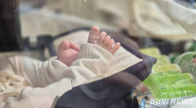 신생아. 임지혜 기자