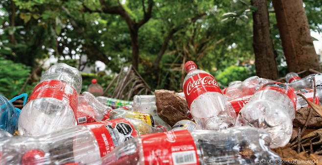 숲 속에 버려진 플라스틱 쓰레기.[오세아나 ‘쓰레기와 함께하는 코카콜라의 세계’ 보고서 발췌]