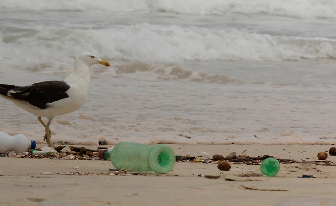 해변가에 버려진 플라스틱 쓰레기.[오세아나 ‘쓰레기와 함께하는 코카콜라의 세계’ 보고서 발췌]