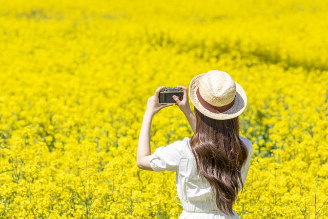 제주도가 ‘가성비 높은 제주 관광 만들기’ 협의체를 출범하고 주요 외식 품목의 가격 개선에 나섰다. 사진은 기사의 특정 내용과 관련 없음. 이미지투데이