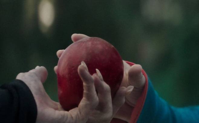 디즈니가 애니메이션 실사 영화 '라푼젤'의 제작을 잠정 중단했다. 월트디즈니 코리아 인스타그램 캡처