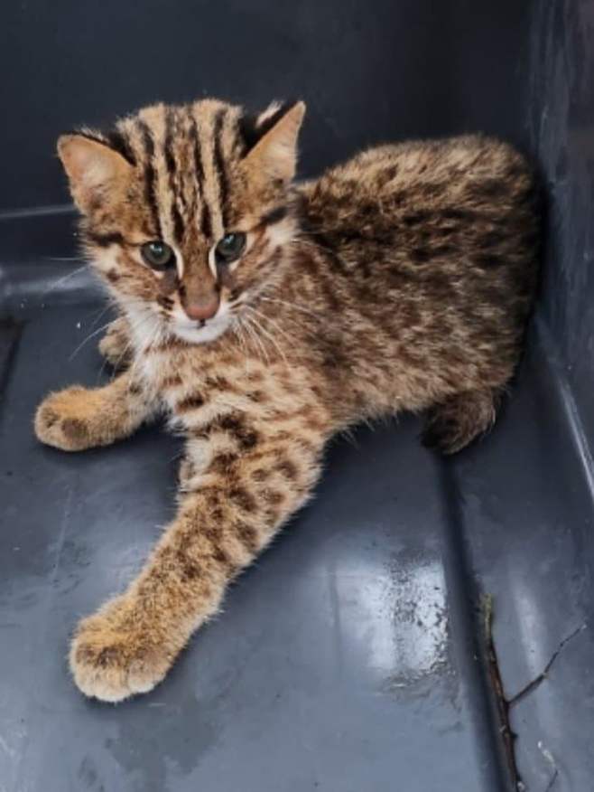 7cea8472b5816bff3aea98bf06d60403fe2f0db4fe8e96d410