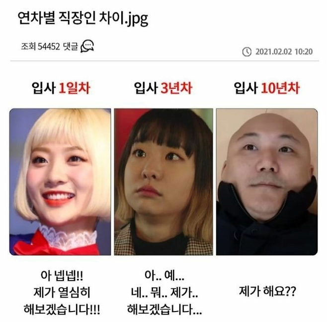 image.png 연차별 직자인 차이.jpg