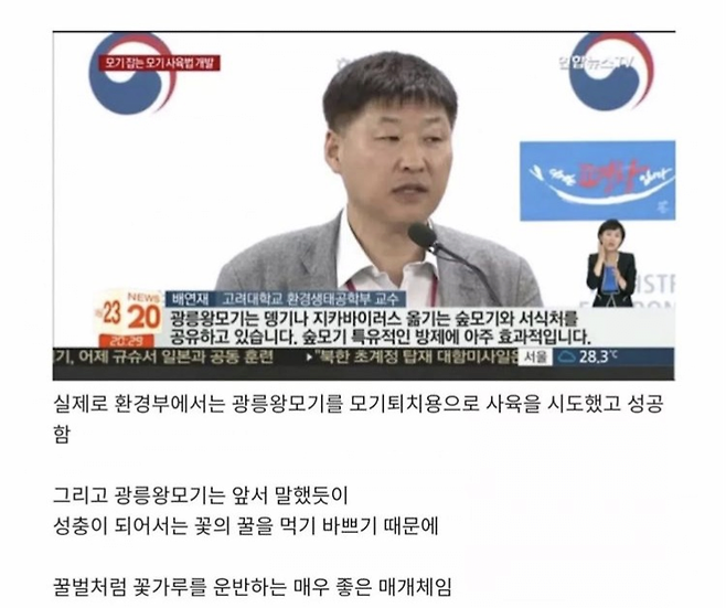 image-2.png 한반도에 서식하는 가장 큰 모기.jpg 한반도에 서식하는 가장 큰 모기.jpg