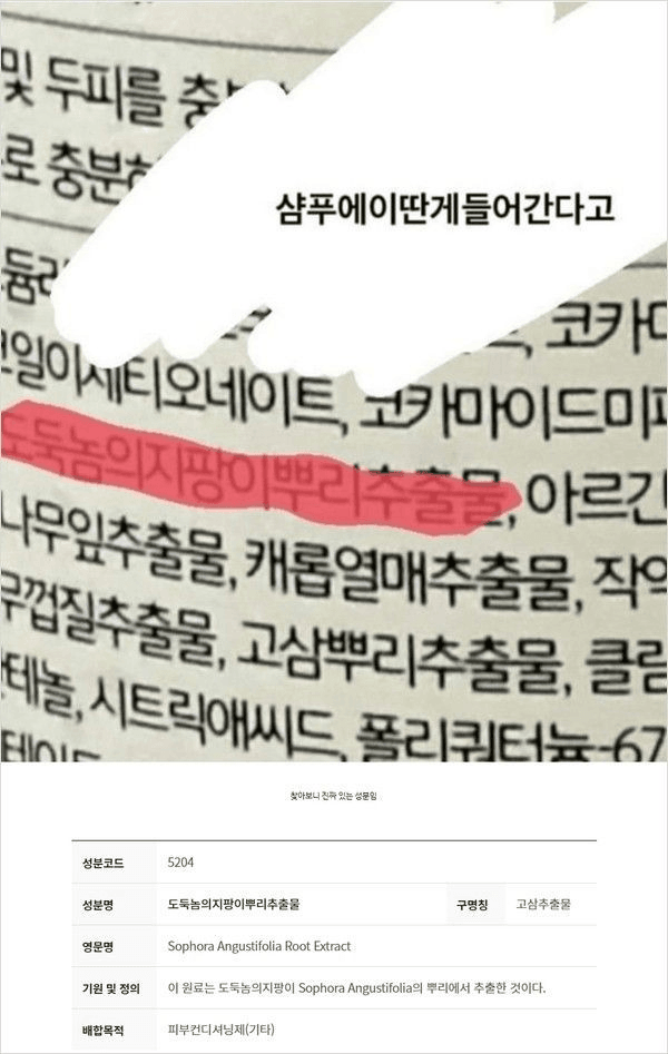 샴푸에 실제로 들어가는 신기한 성분