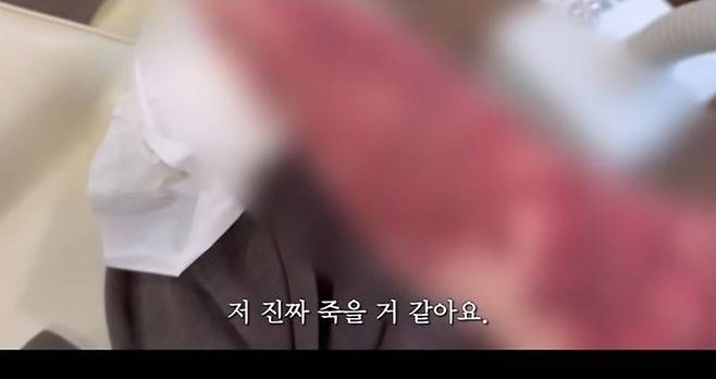 사진=유튜브 '조두팔' 캡처 *재판매 및 DB 금지