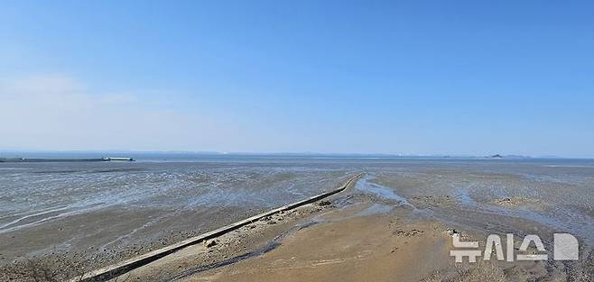 [화성=뉴시스]문영호 기자=화성시 서신면 백미리 씨랜드 화재 참사현장 인근에 조성 중인 화성 서해마루 유스호스텔 루프탑에서 바라 본 경기만 전경.2025.04.08.sonanom@newsis.com