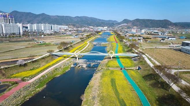 화순 봄꽃 축제의 주 무대인 꽃강길 유채밭 전경. 화순군 제공
