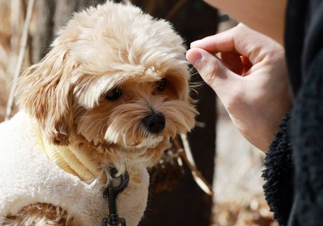 기사의 이해를 돕기 위한 자료 사진. 뉴스1