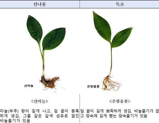 사진출처: 산림청 국립수목원