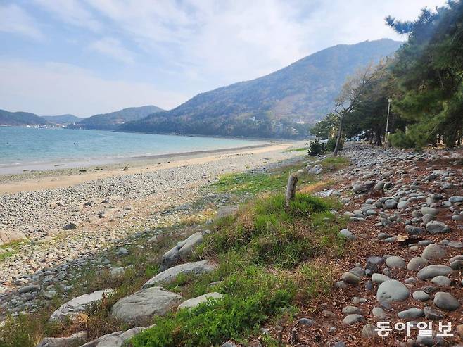 전남 여수시 돌산읍 무슬목 해수욕장은 도심에서 가까운데다 몽돌과 아름드리 해송 숲이 있어 시민들이 자주 찾고 있다. 이형주 기자 peneye09@donga.com