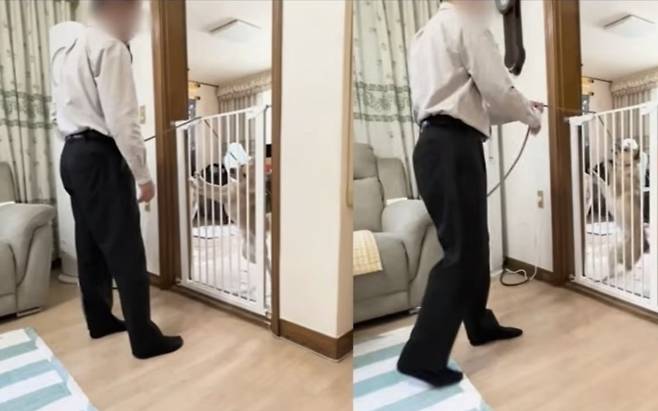 훈련을 명목으로 반려견을 목줄에 매달거나 발로 차는 등의 학대 행위를 한 혐의로 검찰에 넘겨진 유튜버 A씨가 벌금형 구약식 처분을 받았다