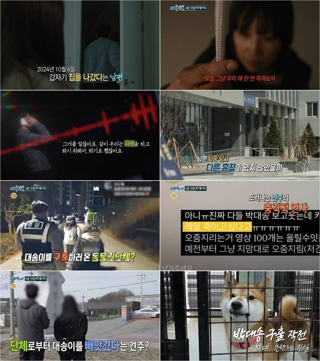 MBC ‘실화탐사대’
