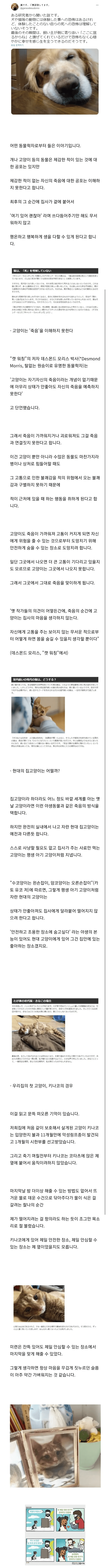 image-3-1.png 동물은 죽음의 공포를 이해하지 못한다.jpg 동물은 죽음의 공포를 이해하지 못한다.jpg