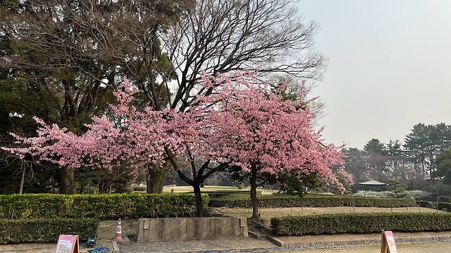 IMG_3283.jpeg 일본 중부 산악지방 렌트카 여행