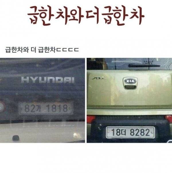 IMG_3327.jpeg 급한차와 더 급한 차.jpg