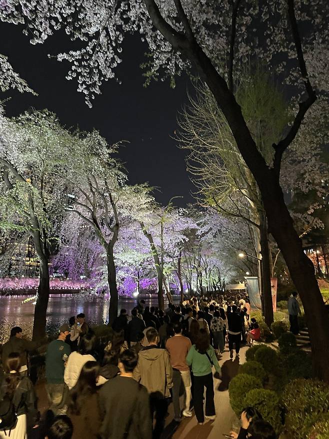 IMG_3255.jpeg 펨붕이 혼자서 석촌호수 벚꽃보러왔습니다