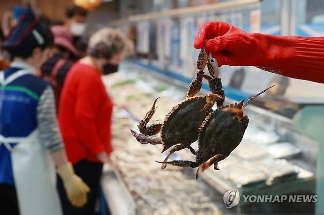 서울 시내 한 대형마트에서 시민들이 꽃게를 고르고 있다. 연합뉴스