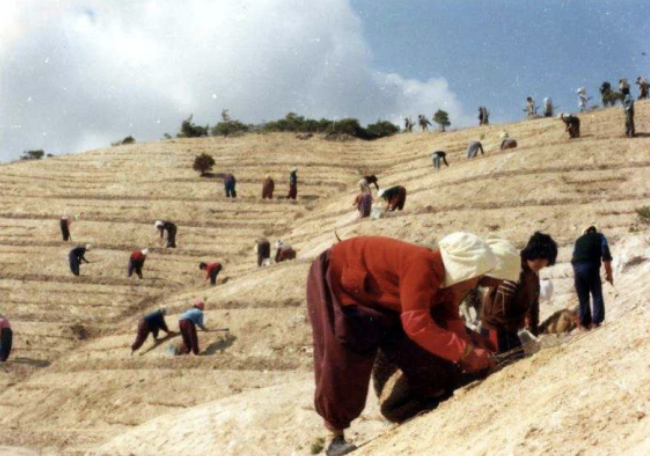 Korea Reforestation Archives (KHS)