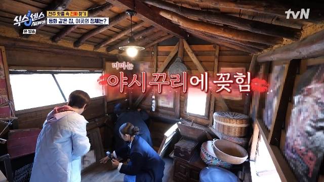 tvN ‘식스센스 시티투어’ 캡처