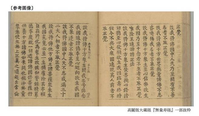 [서울=뉴시스]일본의 한 사찰이 소장하고 있는 고려대장경 목판 인쇄물이 유네스코 세계기록유산에 등재됐다. 사진은 일본 정부가 문부과학성 홈페이지를 통해 공개한 고려대장경의 일부 모습. 밑에는 "고려판 대장경 '무량수경' 일부 발췌"라는 설명이 쓰여있다. 2025.04.11. <사진출처=일본 문부과학성 홈페이지 캡처> *DB 및 재판매 금지.