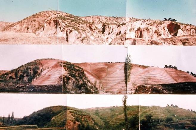 1973∼1977년 포항 영일만 산림 복구 사진 [산림청 제공. 재판매 및 DB 금지]