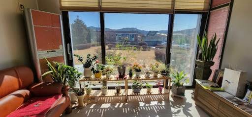 ▲햇살이 고여있는 거실 탁자 위에서 매일 홀로 미사를 드린다./사진=김지수