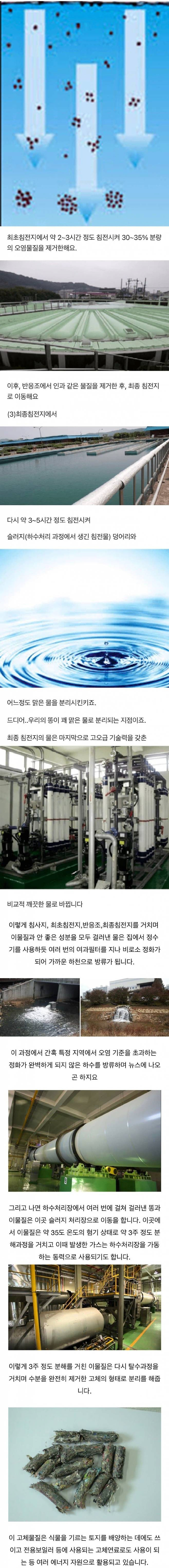 image.png 우리가 싼 대변은 어디로 이동할까?