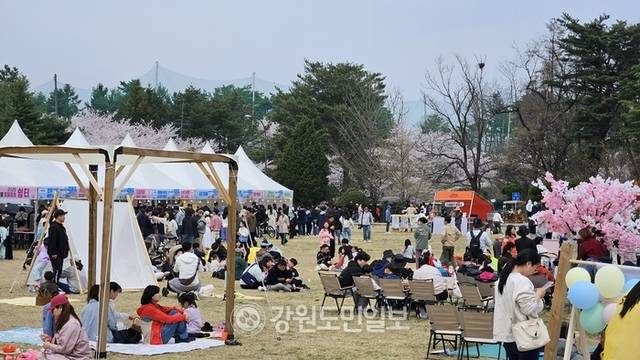 ▲ 12일 속초 영랑호 잔디광장 일원에서 열린 ‘영랑호 벚꽃축제’ 행사장에 많은 시민과 관광객들이 몰려 성황을 이루고 있다.