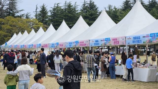 ▲ 12일 속초 영랑호 잔디광장 일원에서 열린 ‘영랑호 벚꽃축제’ 행사장에 많은 시민과 관광객들이 몰려 성황을 이루고 있다.