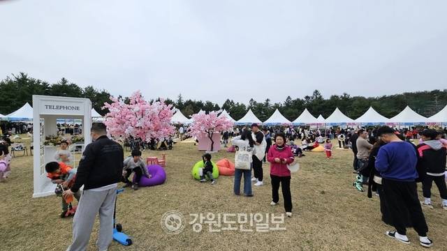 ▲ 12일 속초 영랑호 잔디광장 일원에서 열린 ‘영랑호 벚꽃축제’ 행사장에 많은 시민과 관광객들이 몰려 성황을 이루고 있다.