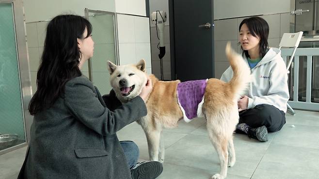 지난 1일 취재진과 만난 이민주 활동가가 노랑이와 말순이의 구조기를 설명해주고 있다. 노랑이는 취재진에게 다가와 애교부리기에 바빴다. 하승준 인턴PD