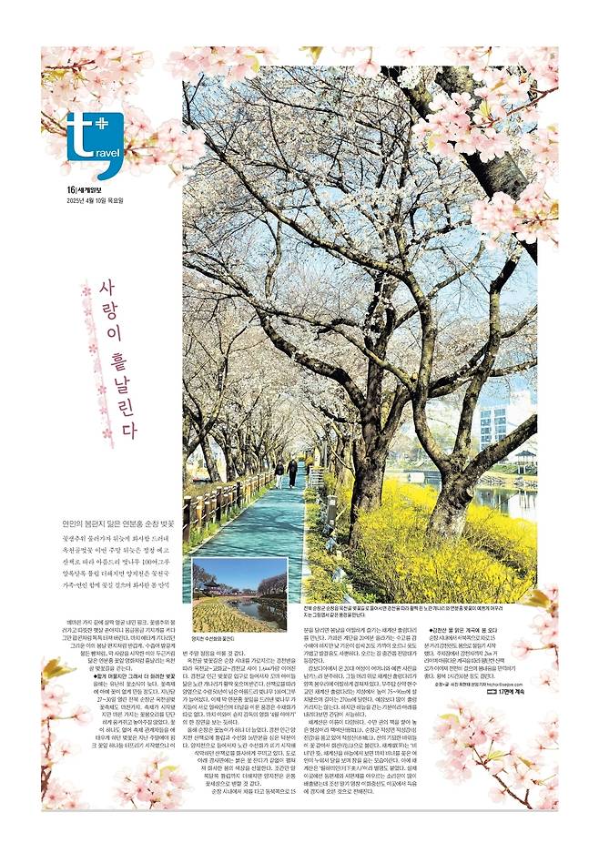 세계일보 여행면. 편집=김창환 기자