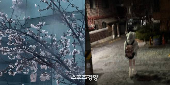 한소희가 올린 자신의 일상 사진. 네이버 블로그 캡처