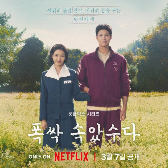 넷플릭스 오리지널 시리즈 ‘폭싹 속았수다’ 포스터. 넷플릭스 제공
